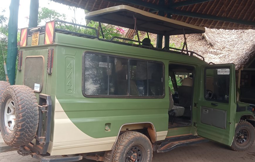 Tsavo East (2 days, 1 night)