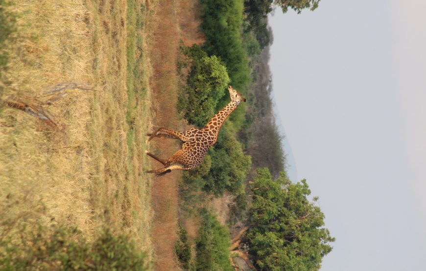 Tsavo East (2 days, 1 night)