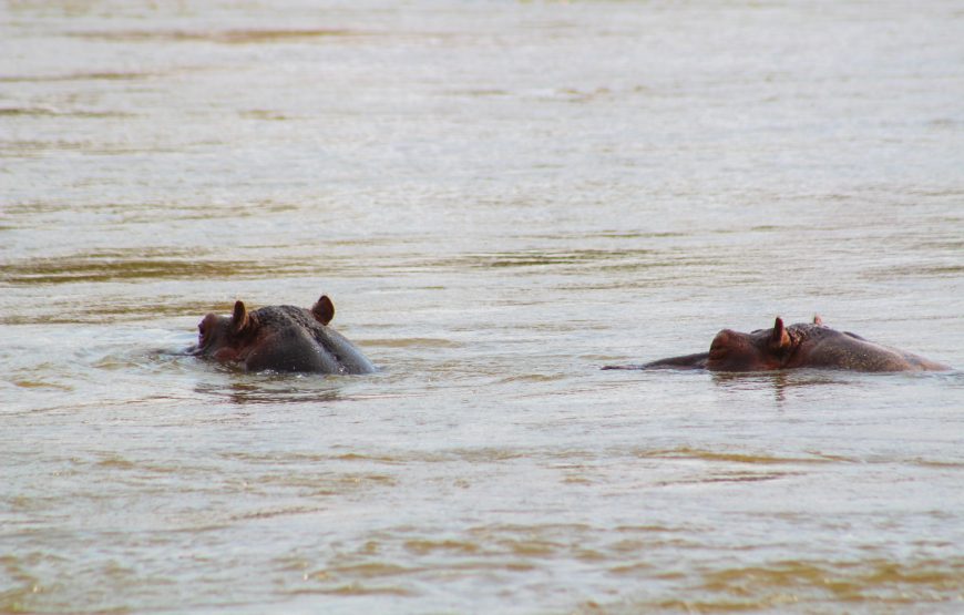 Tsavo East (2 days, 1 night)
