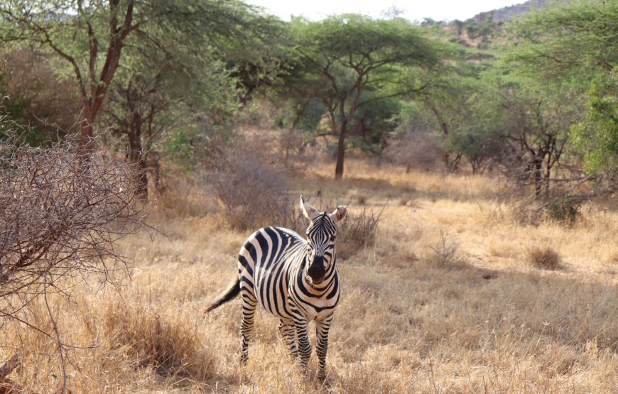 Tsavo East (2 days, 1 night)