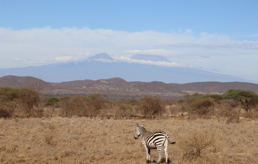 Tsavo East (2 days, 1 night)
