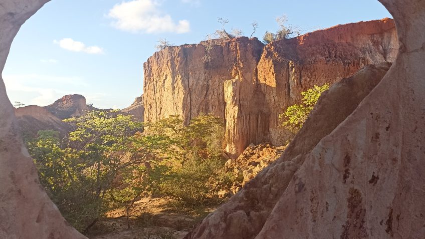 Authentic African Experience