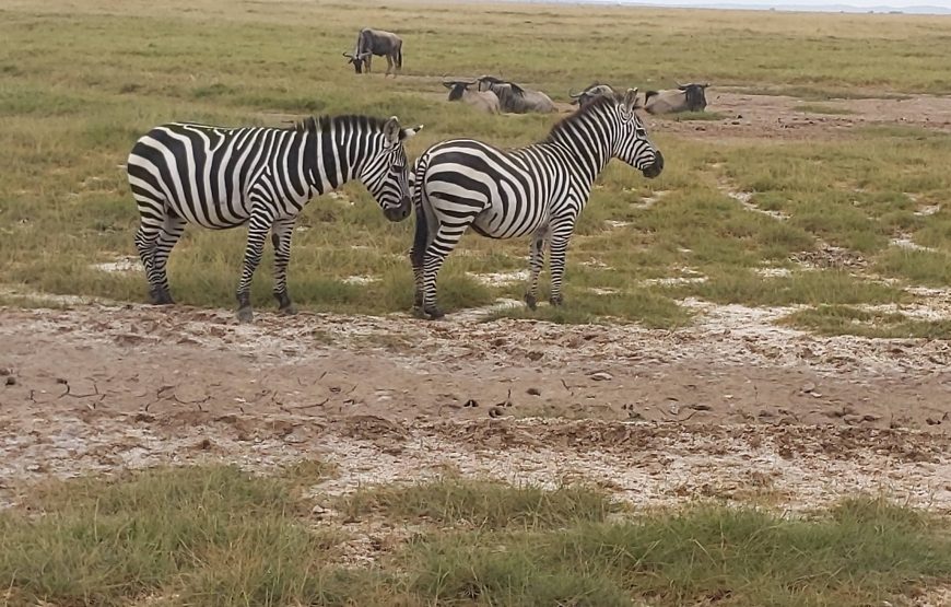 Tsavo East (3 days, 2 nights)