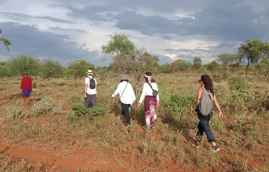 Tsavo East (3 days, 2 nights)