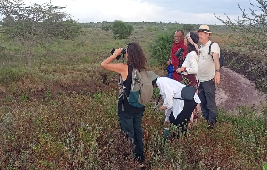 Tsavo East (3 days, 2 nights)