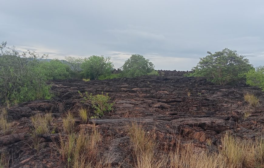 Tsavo East (3 days, 2 nights)