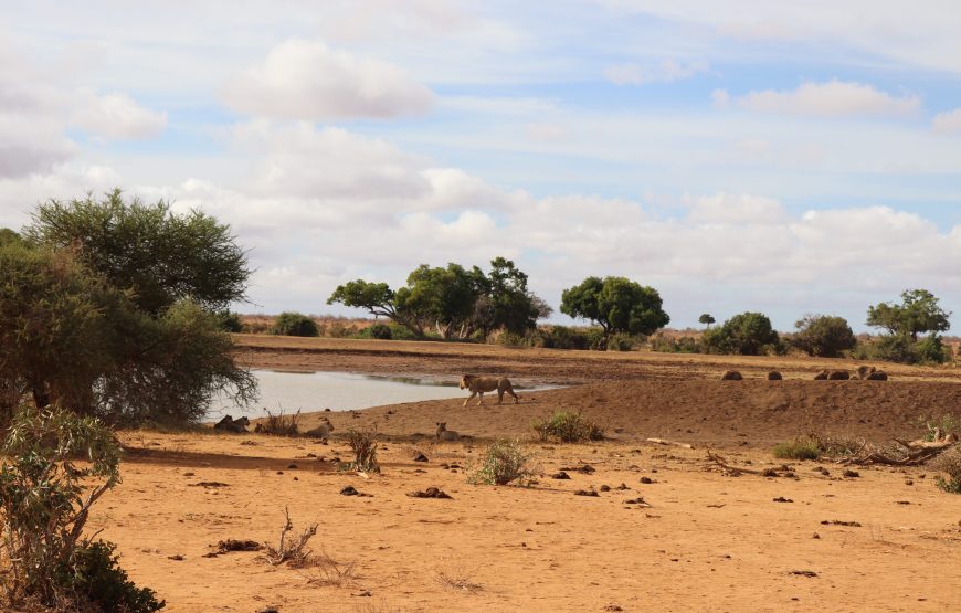 Tsavo East (1 day)