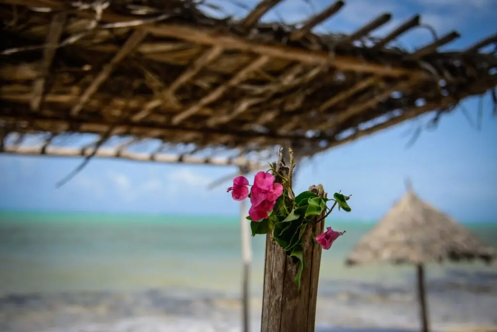 Marafiki Beach Bar and Restaurant, Jacaranda beach, Watamu