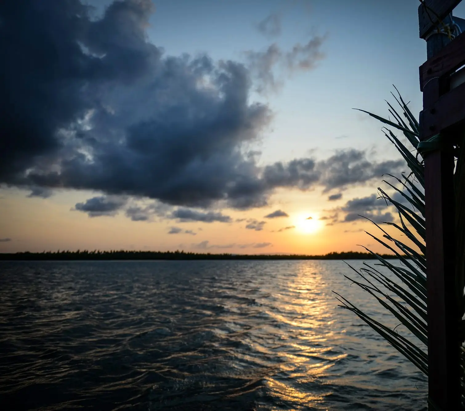 Sunset dhow cruise on Mida Creek, Watamu