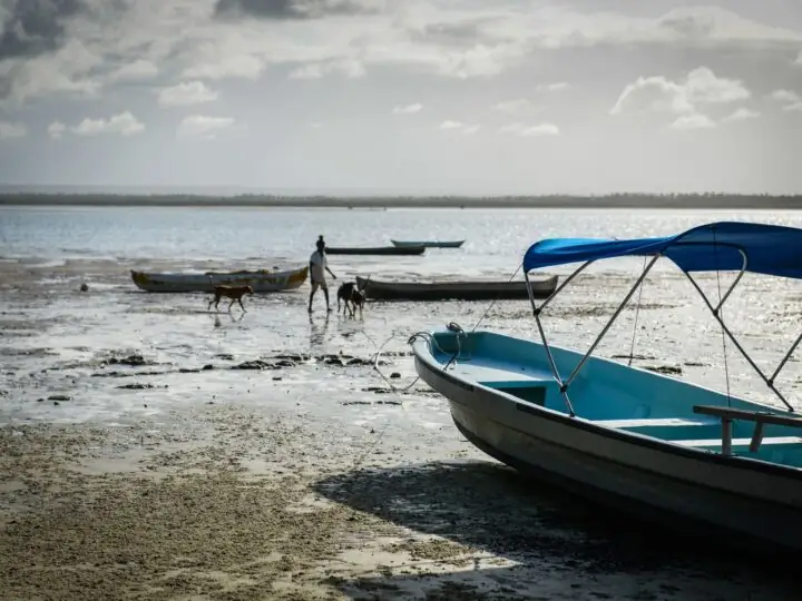 Kayaking the mangroves of Mida Creek, Watamu
