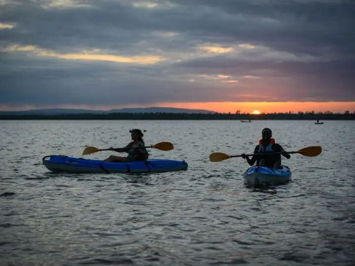 Kayaking the mangroves of Mida Creek, Watamu