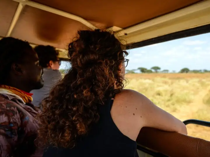 Game drive in Tsavo East National Park, Kenya