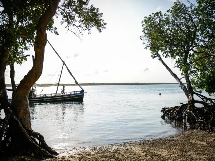 Sundowner dhow cruise on Mida Creek, Watamu